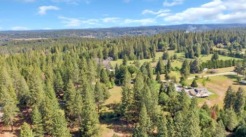 23370 Lark Ln, Volcano, CA 95689 photo 91