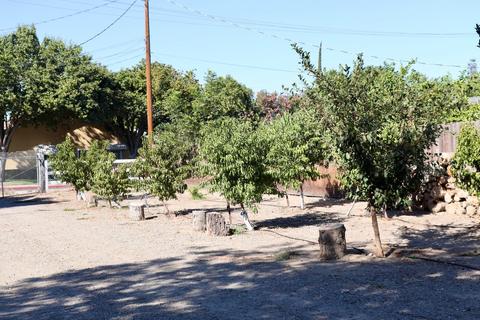1228 Houser Ln, Modesto, CA 95351 photo 38