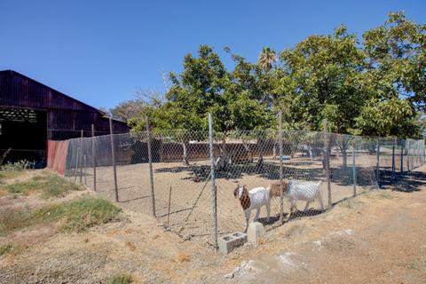0 16343 Sycamore Ave, Patterson, CA 95363 photo 25