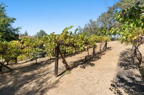 3265 Rustic Woods Ct, Loomis, CA 95650 photo 58