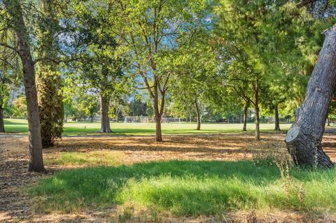 1825 Amador Ave, Davis, CA 95616 photo 33