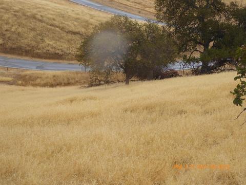 20321 Perrett Ct, Patterson, CA 95363 photo 57