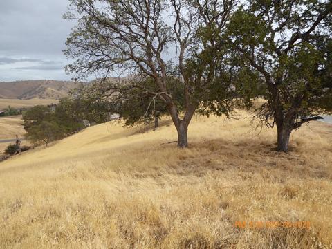 20321 Perrett Ct, Patterson, CA 95363 photo 6