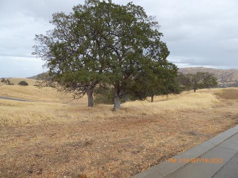 20321 Perrett Ct, Patterson, CA 95363 photo 1