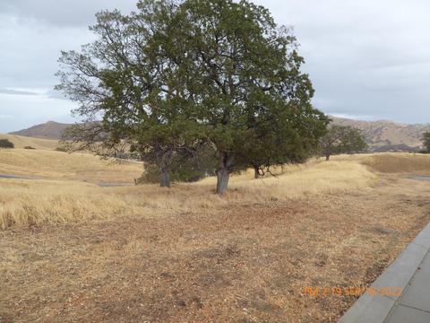 20321 Perrett Ct, Patterson, CA 95363 photo 3