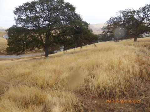 20321 Perrett Ct, Patterson, CA 95363 photo 38
