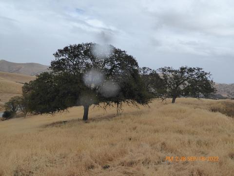 20321 Perrett Ct, Patterson, CA 95363 photo 50