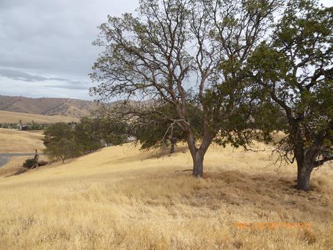 20321 Perrett Ct, Patterson, CA 95363 photo 5