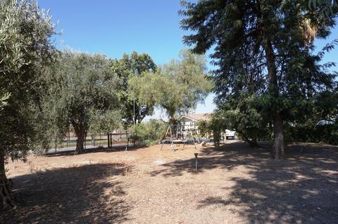 30103 Lemon Ave, Escalon, CA 95320 photo 49