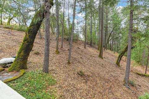 22900 Pine Hollow Rd, Colfax, CA 95713 photo 28