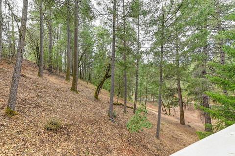 22900 Pine Hollow Rd, Colfax, CA 95713 photo 27