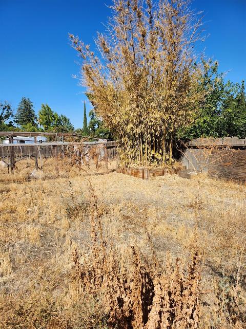 2859 Oleander Ave, Merced, CA 95340 photo 26