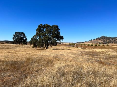 599 Hodson, Copperopolis, CA 95228 photo 17