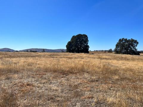 599 Hodson, Copperopolis, CA 95228 photo 16