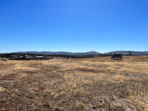 599 Hodson, Copperopolis, CA 95228 photo 18