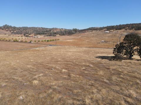 599 Hodson, Copperopolis, CA 95228 photo 10