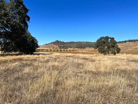 599 Hodson, Copperopolis, CA 95228 photo 20