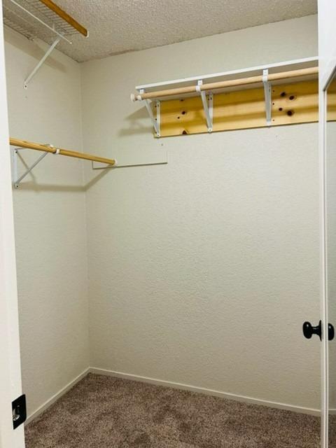 2901 Darius Ln, Modesto, CA 95355 photo 21
