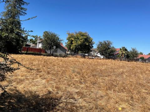 1748 Hackett Rd, Ceres, CA 95307 photo 30