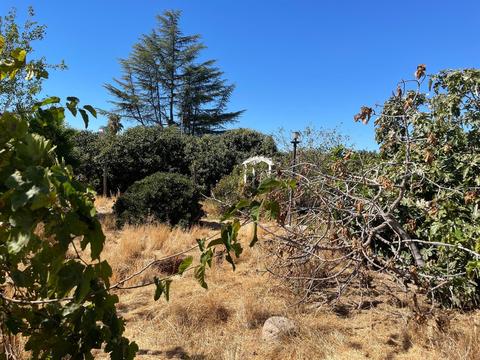 1748 Hackett Rd, Ceres, CA 95307 photo 38