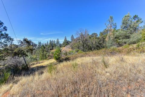 5060 N Mac Leod Trl, Georgetown, CA 95634 photo 34