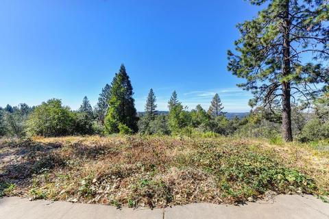5060 N Mac Leod Trl, Georgetown, CA 95634 photo 47