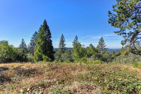5060 N Mac Leod Trl, Georgetown, CA 95634 photo 4