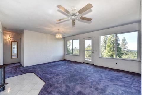 5060 N Mac Leod Trl, Georgetown, CA 95634 photo 14