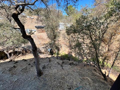 4557 Tomahawk Trl, Copperopolis, CA 95228 photo 25