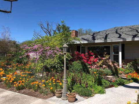 1145 Fordham Ave, Modesto, CA 95350 photo 46