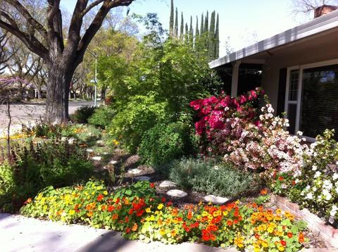 1145 Fordham Ave, Modesto, CA 95350 photo 47