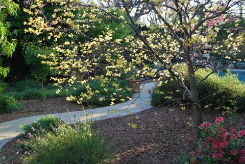 1145 Fordham Ave, Modesto, CA 95350 photo 48
