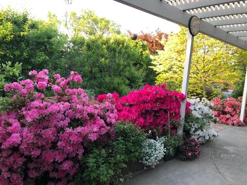 1145 Fordham Ave, Modesto, CA 95350 photo 45