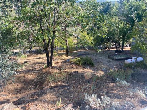 40 Colfax Ave, Colfax, CA 95713 photo 27