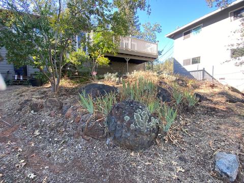 40 Colfax Ave, Colfax, CA 95713 photo 31