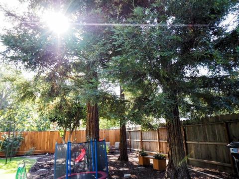 1027 Sierra St, Turlock, CA 95380 photo 38