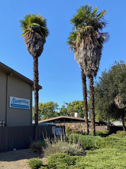 805 Tully Rd #9, Modesto, CA 95350 photo 24