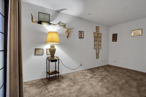 982 E Dudley Rd, French Camp, CA 95231 photo 32