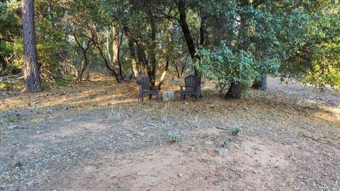 12775 Silver Crest Dr, Grass Valley, CA 95945 photo 60