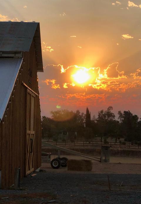 403 Biggs East Hwy, Biggs, CA 95917 photo 50