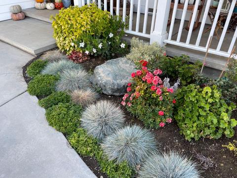 403 Biggs East Hwy, Biggs, CA 95917 photo 48