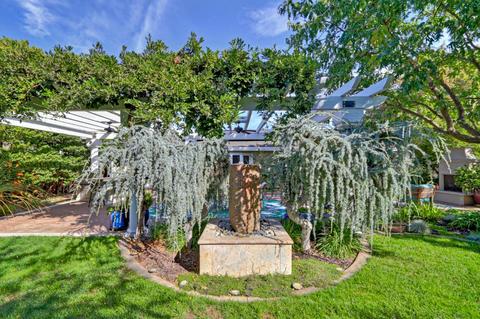 905 Burr St, Davis, CA 95616 photo 93