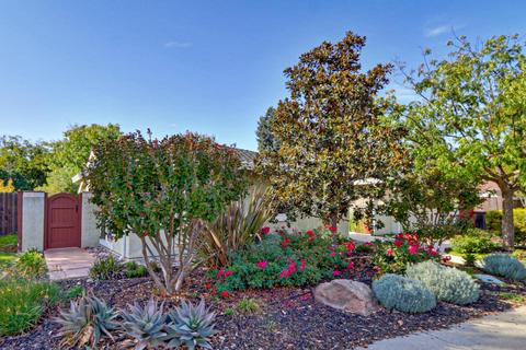 905 Burr St, Davis, CA 95616 photo 3
