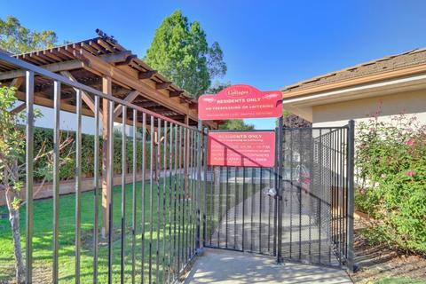 1013 Trinita Ter, Davis, CA 95618 photo 46