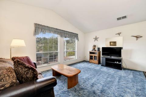 4380 Tomahawk Trl, Copperopolis, CA 95228 photo 41