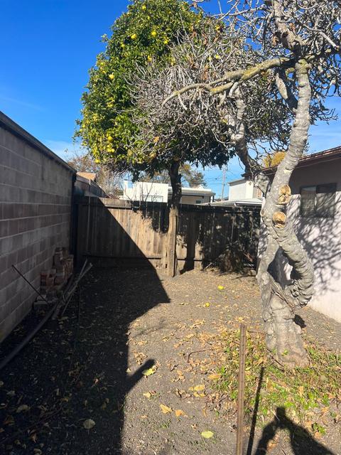1117 Parker St, Berkeley, CA 94702 photo 24