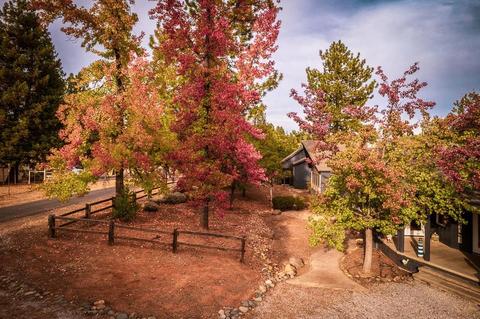 20130 Lomo Ranchos Rd, Volcano, CA 95689 photo 44