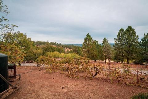 20130 Lomo Ranchos Rd, Volcano, CA 95689 photo 32