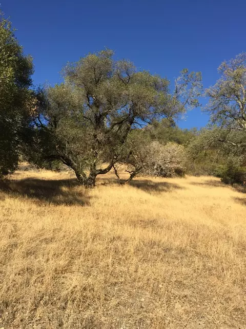 0 Ranch Camp Rd, Somerset, CA 95684