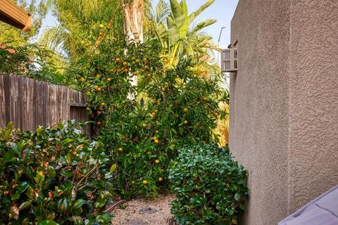 1748 Dalia Ln, Manteca, CA 95337 photo 27